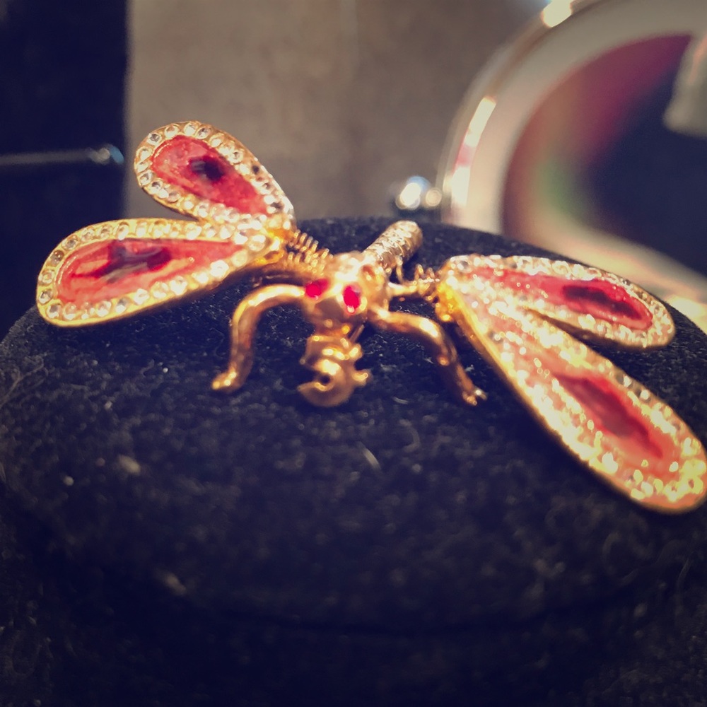 DRAGONFLY Gold and Red Pin/brooch